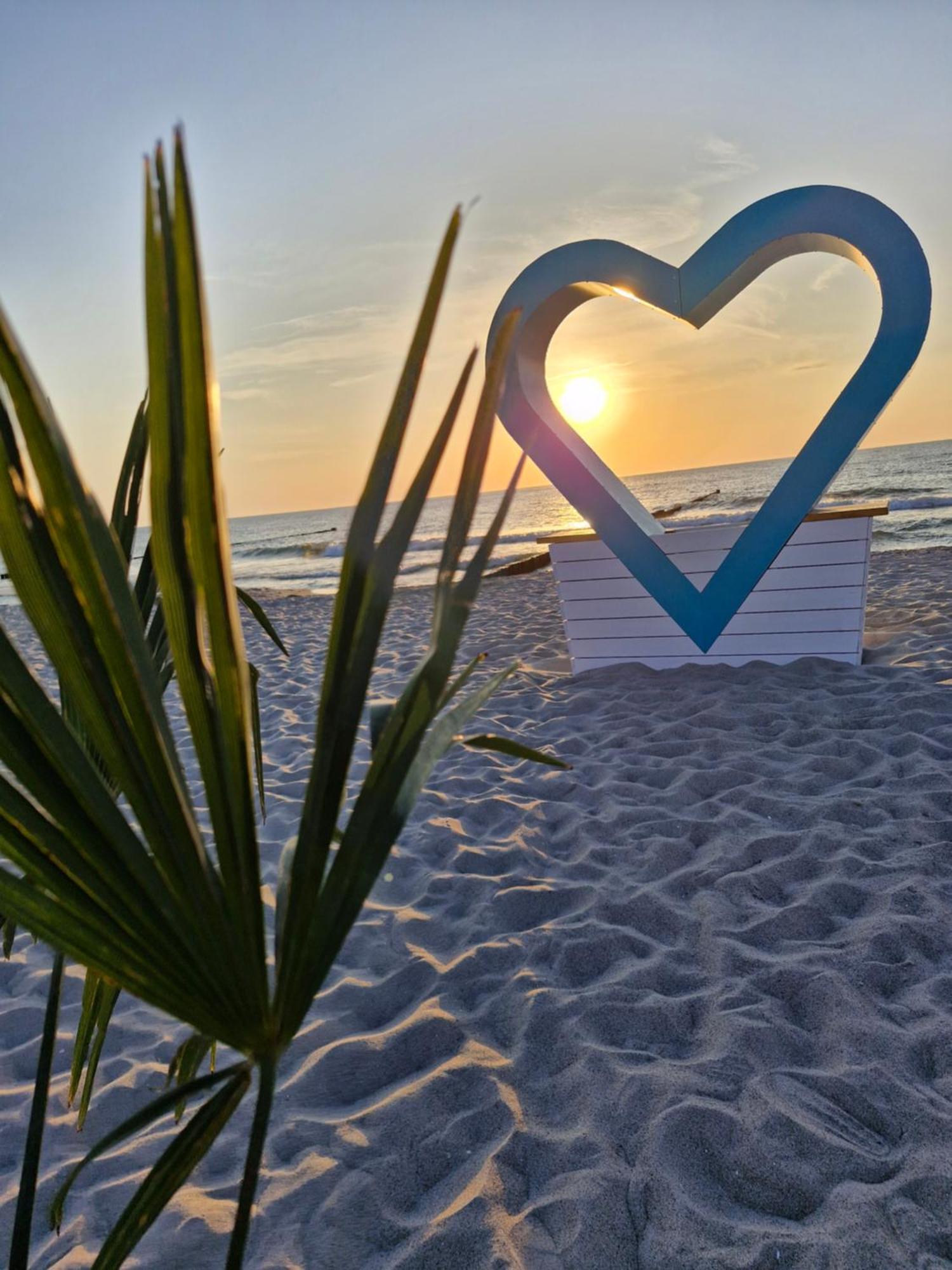 Ferienwohnung Ostseegras Markgrafenheide, 350M Bis Zur Ostsee, Unweit Von Warnemuende ロストック エクステリア 写真